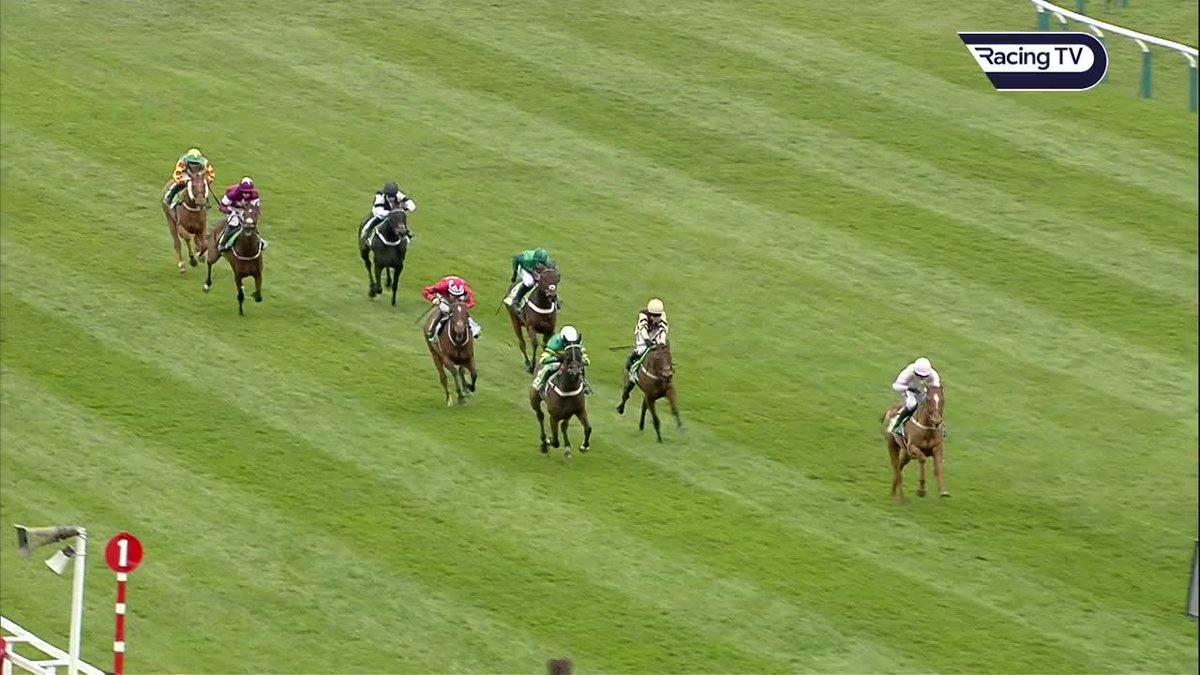 The following year ANNIE POWER went on to win the Champion Hurdle in emphatic fashion. What a difference a year can make! 😍 💫