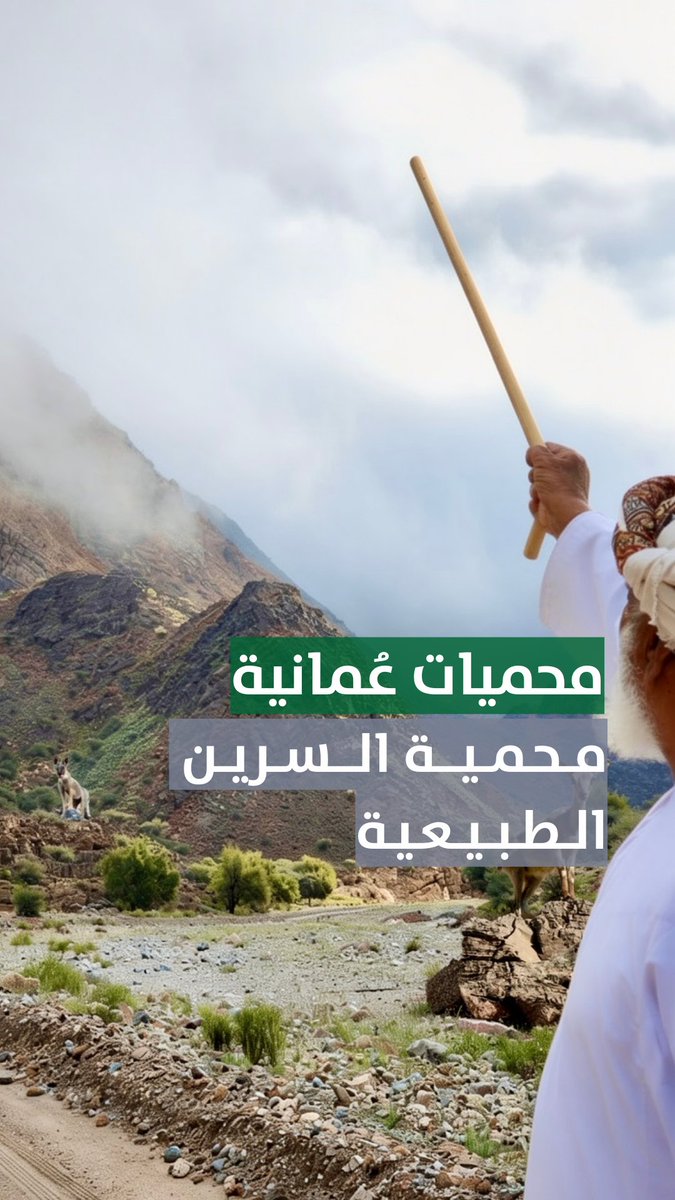 ▶️ محميات عُمانية.. محمية السرين الطبيعية. #مركز_الأخبار