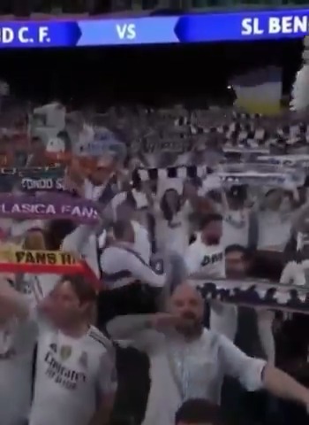 Las excusas del aficionado nazi del Real Madrid que fue expulsado no tienen desperdicio. "Los nazis no se juntan con los negros ni con maricones ni se visten de mujer... tengo dos negros adoptados, me voy con maricones, me visto de mujer y me pinto los labios para ir al Rocío..."