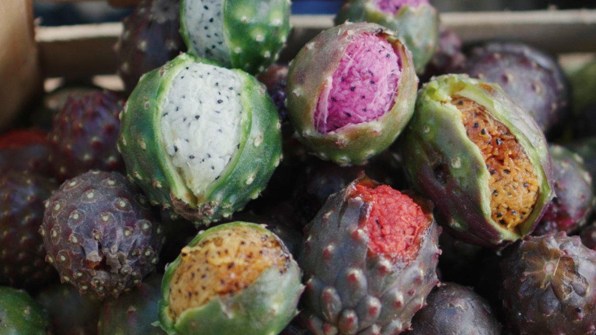 Why pitaya (Mexican dragon fruit) is so expensive