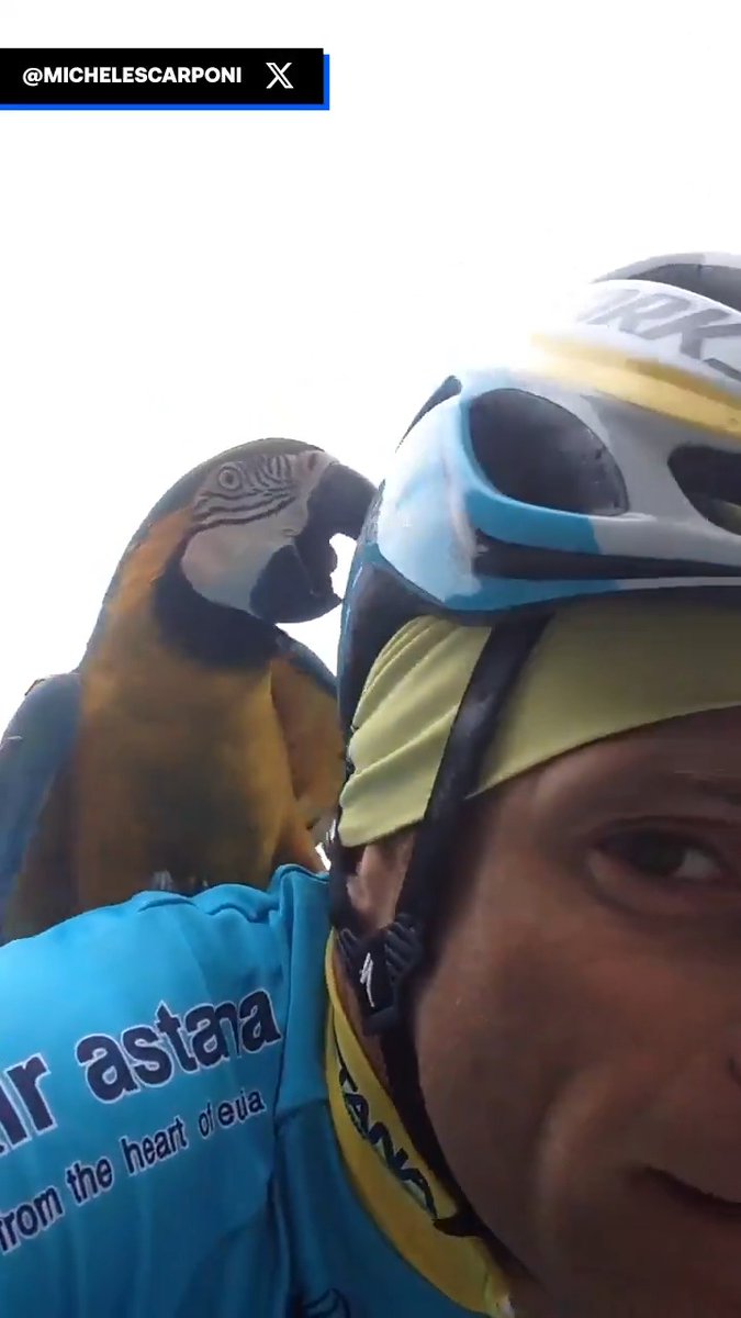 Nos ha dejado Frankie 🦜😢 El gran Michele y él vuelven a estar unidos, ahí arriba ❤️🩹🙏🏼