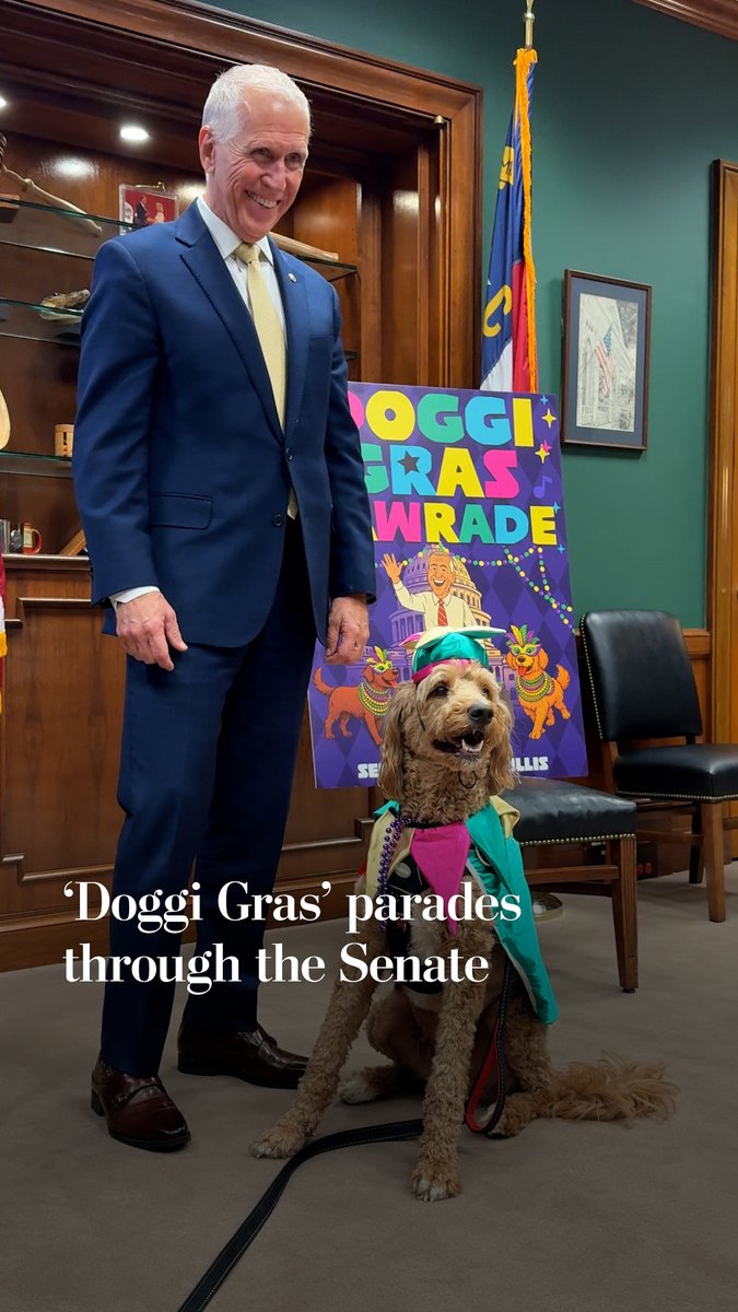 Wednesday was a memorable day to be a dog on Capitol Hill. Pups paraded through the Senate in Mardi Gras costumes and beads. Never mind that Mardi Gras last week, or that dogs probably don’t know what it is. “Doggi Gras” — was for humans.
