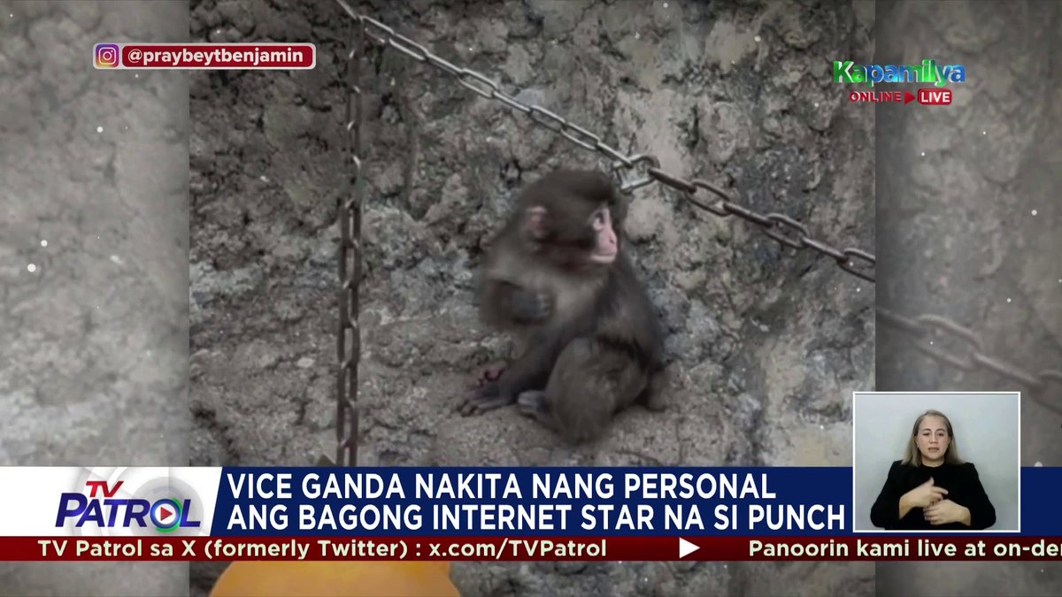 Success! 'Yan ang masayang reaksiyon ni Vice Ganda nang makita nang personal ang baby monkey na si "Punch."