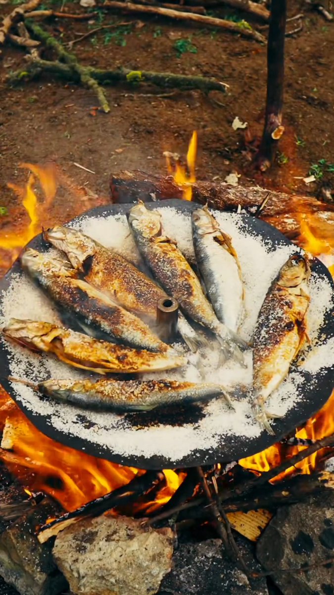Shad sizzling over open fire on a bed of salt in Romania's Danube Delta. Ancient flavors, no fuss.