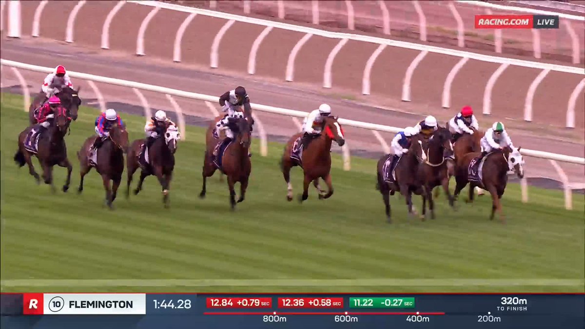 Flemington Race 10 | Ambassadorial Ambassadorial is in career-best form this preparation 👏 📺 Ch. 78/68, Foxtel 529, Kayo or via our app REPLAYS: