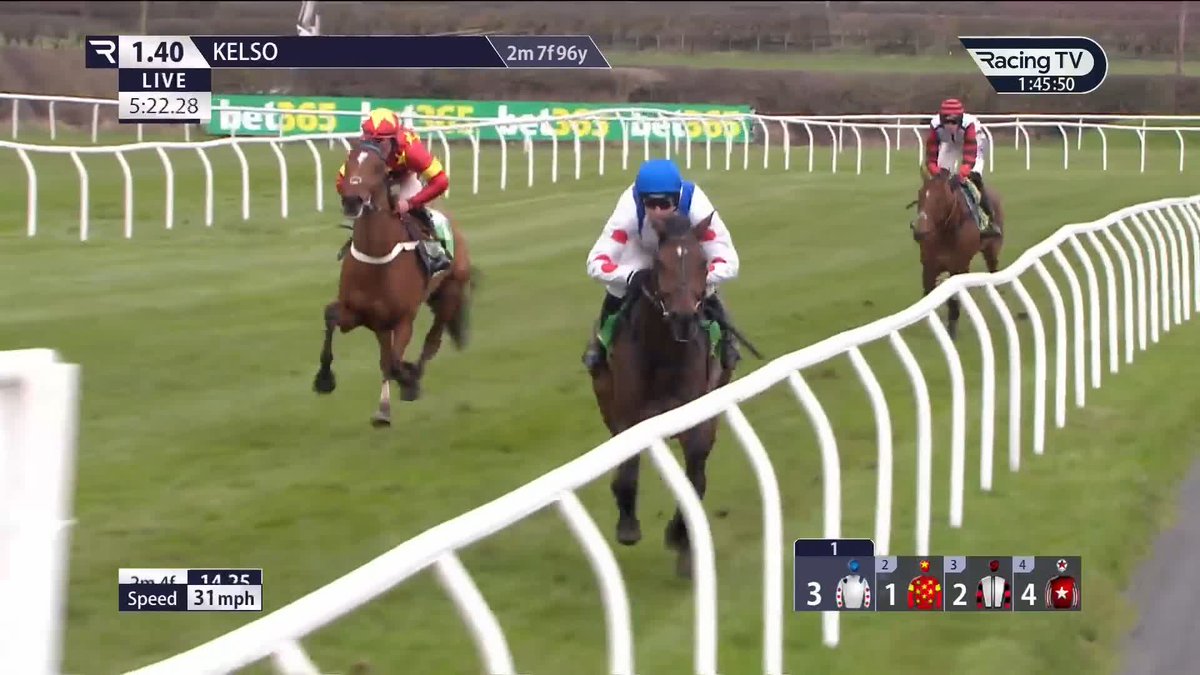 Protektorat wins the bet365 Premier Chase at 1/12 . . . but only after a big scare!
