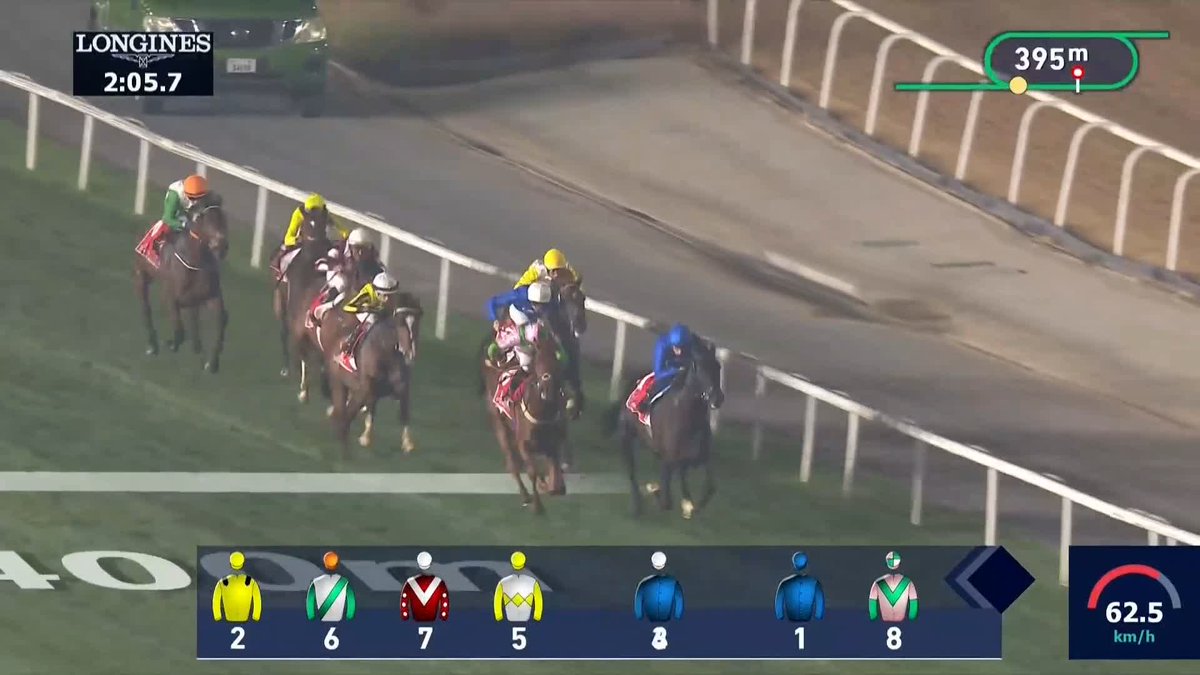 Career wins: 2⃣1⃣ 👊 The magnificent Rebel's Romance is a class apart in the Group 2 Dubai City Of Gold at Meydan. #DubaiCarnival | Emirates | William Buick