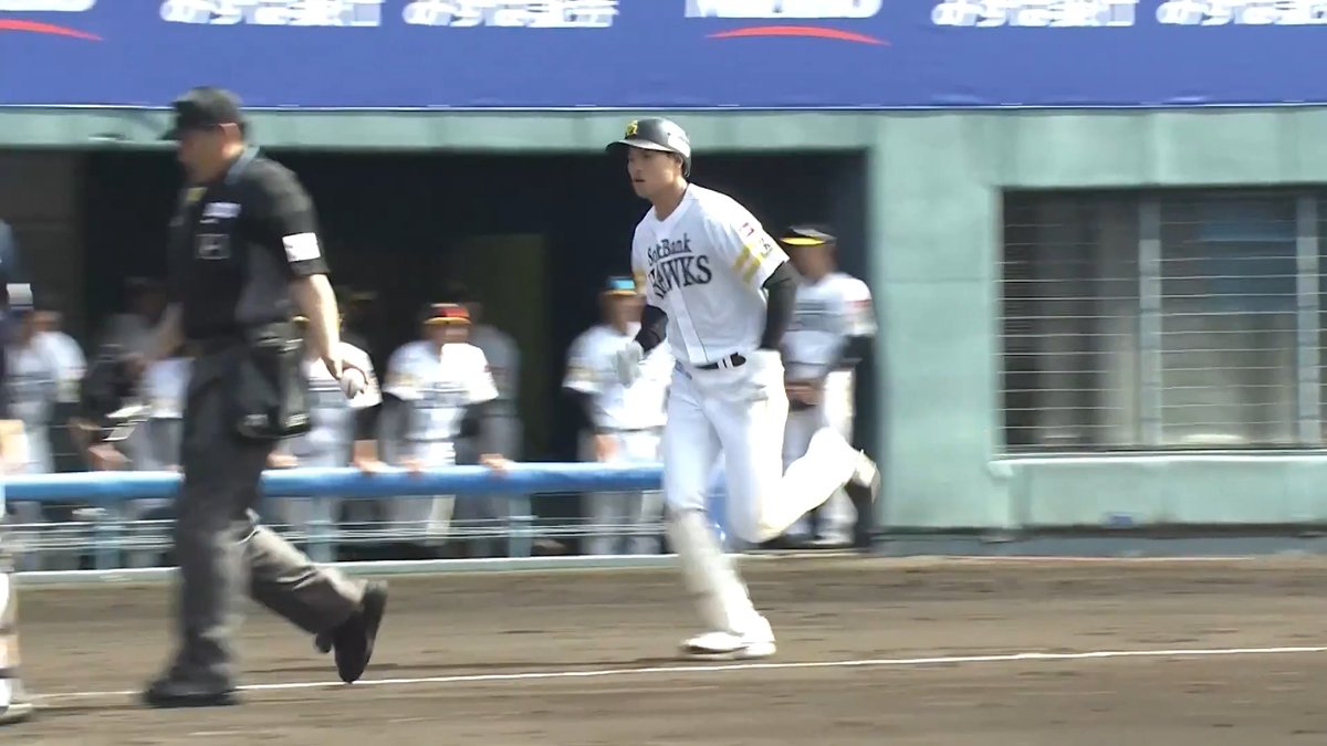 打った瞬間の一発💪 福岡ソフトバンク #笹川吉康 選手のOP戦第1号ソロホームラン🌈 #sbhawks 👇ライブ配信はこちら