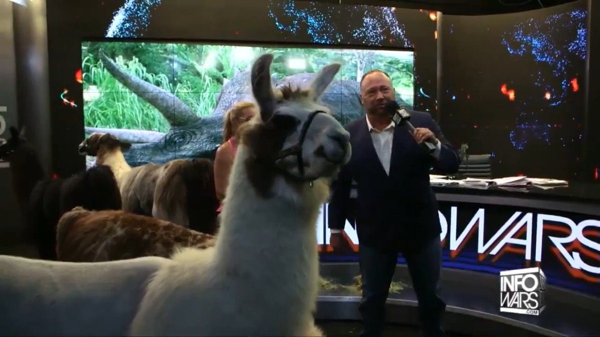 🦙 Llamas Are The Secret Weapon To Breaking Mass Mind Control 🦙 » ɢᴇᴛ ᴛʜᴇ ɴᴇᴡ ᴀᴘᴘ:
