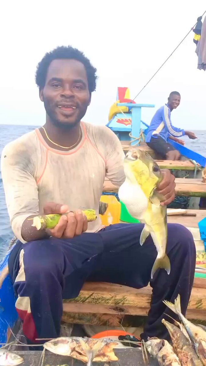 This Ghanaian fisherman actually used a puffer fish to peel the sugarcane.😳