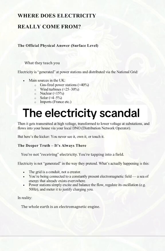 The Electricity Scandal