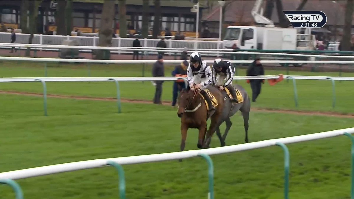⚫️⚪️ Chris Gordon on ELECTRIC MASON, per Ashley Iveson. “He’s got a great chance I hope. It was the obvious race after Haydock. "I couldn’t see any benefit of running him again before Cheltenham, but he’s in very good order & we’re looking forward to it."