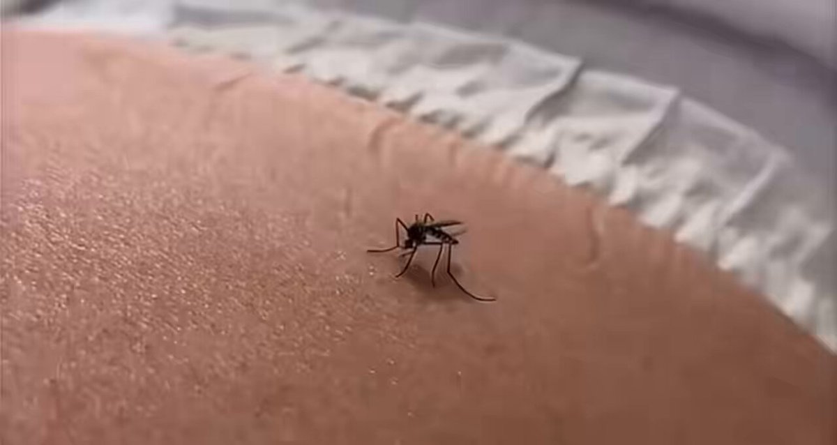蚊子做梦也没想到，自己死的仪式感这么强？某种程度上，哈梅内伊与这蚊子类似，被斩首行动，获得全球百亿级的流量。与其他神棍一样，哈梅内伊也是世界前10富豪。哈梅内伊的财富，通过两个特殊机构控制：第一，Setad基金会，2013年显示其资产约950亿美元，涉及石油、房地产、金融等伊朗核心产业，目前估值2000亿美元。 第二，革命卫队经济网络，控制伊朗30%的GDP，垄断石油出口、电信、基建等领域，其最终效忠对象为最高领袖。所以，亚洲金融(亚洲金融 Asia Finance)估算，哈梅内伊家族资产约4000亿美元左右，这一巨额财富与其公开的简朴形象形成强烈反差。哈梅内伊财富膨胀的同时，伊朗经济持续恶化：货币里亚尔贬值超90%，2025年通胀率超40%。 哈梅内伊与其他独裁者一样，就是为了做皇帝，尽管他1939年生于贫寒宗教世家，4岁读经，青年时追随霍梅尼革命。哈梅内伊的子女被指通过特权关系积累巨额资产：次子莫吉塔巴：被曝实际操控情报机构及革命卫队财务，在伦敦、法兰克福等地购置豪宅及酒店；长子穆斯塔法：垄断伊朗房地产行业；其他子女分别涉足医疗、媒体等领域，形成覆盖全产业链的利益网络。 哈梅内伊公开生活简朴，如旧波斯地毯、朴素黑袍，并常谴责腐败，但Setad基金会及革命卫队的财务完全脱离政府监管；资产扩张手段被指滥用"合法接管"制度：以产权争议为由强占平民房产，受害者申诉无门。2026年2月美以空袭前后，哈梅内伊家族被曝加速转移资产至俄罗斯及加密货币渠道。但因几千亿级资产流动性差、国际制裁严密，实际转移规模受限。 9000万伊朗人，就是哈梅内伊的奴隶。