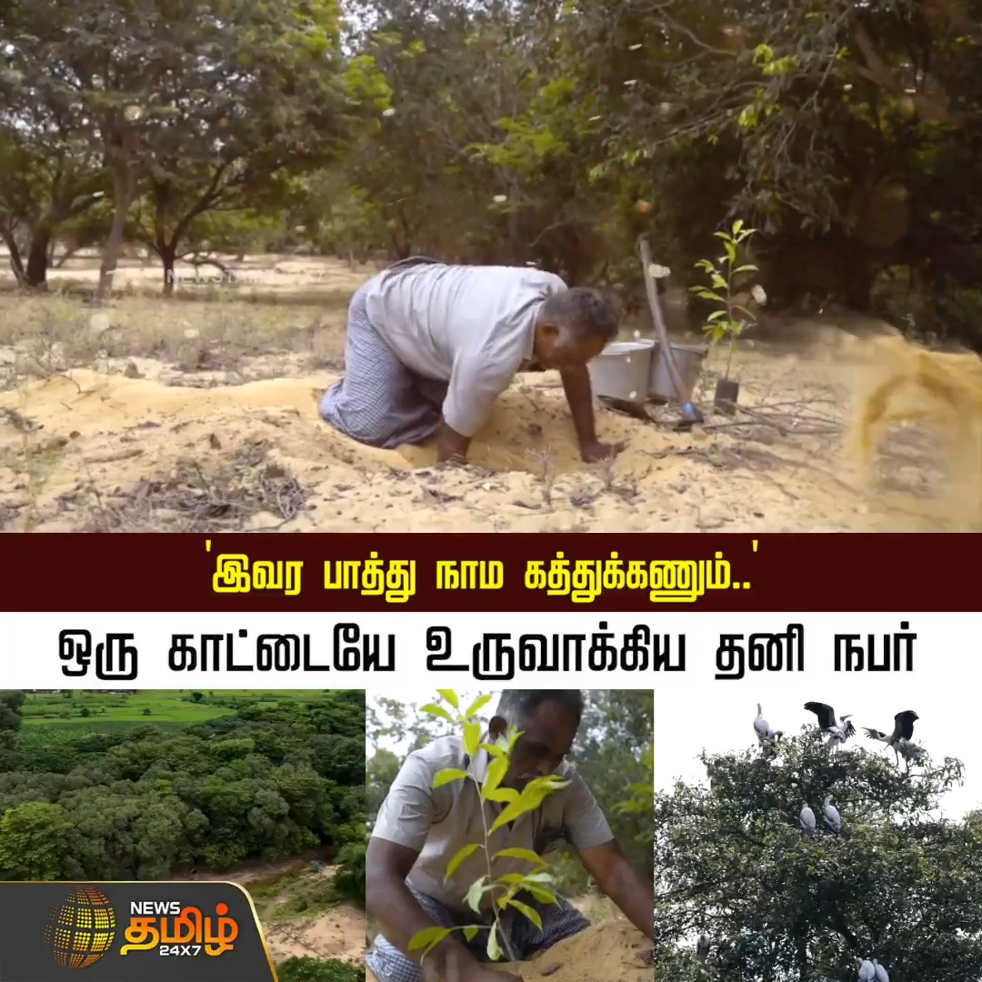 'இவர பாத்து நம்ம கத்துக்கணும்' - ஒரு காட்டையே உருவாக்கிய தனி நபர் #Tirunelveli #Farmer #Sandtheft #Plant #Newstamil24x7