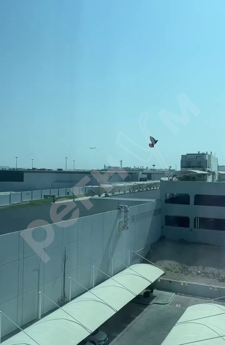 Evacuation flights have begun from Abu Dhabi. Etihad Airways Airways is transporting passengers who were unable to depart starting February 28. Earlier reports said that check-in had reopened for selected flights at Abu Dhabi airport, including services to Moscow.