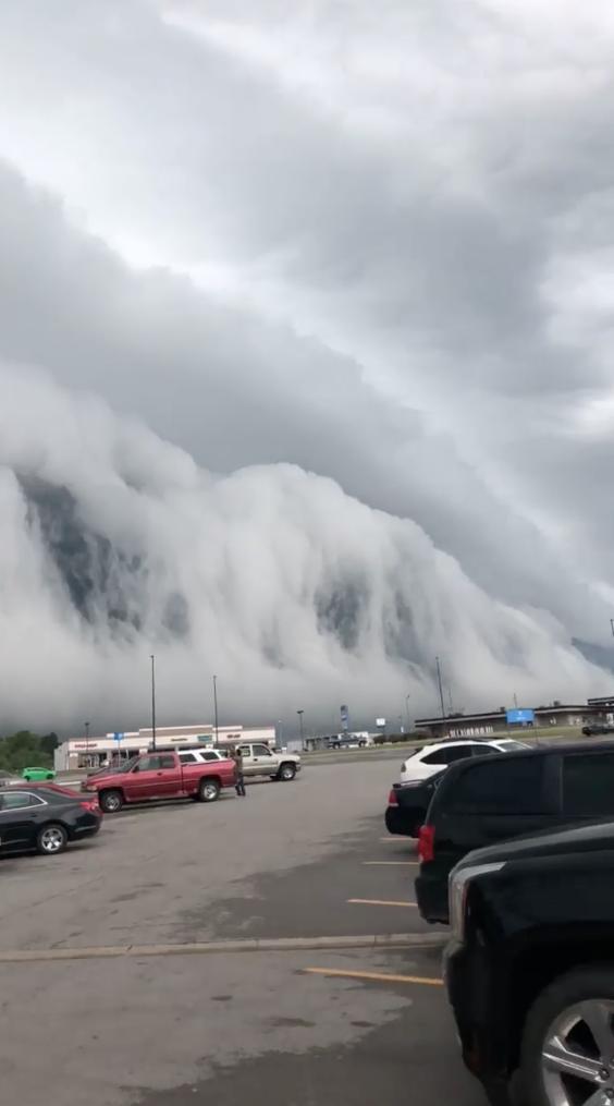 Shelf clouds are low, wedge-shaped clouds that sometimes form at the leading edge of thunderstorms. 📽: Maranda Benefield