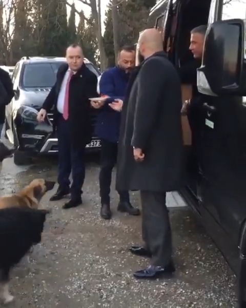 “Siz yeryüzündekilere merhamet edin ki gökyüzündeki(ler) de size merhamet etsin.” Reis Sedat PEKER, dilsiz dostlarımızı beslerken: