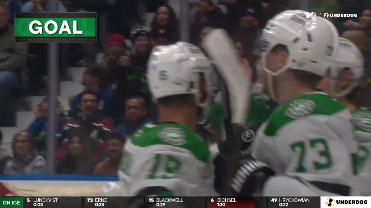 Wild goal for the stars in the first period to tie it up #TexasHockey