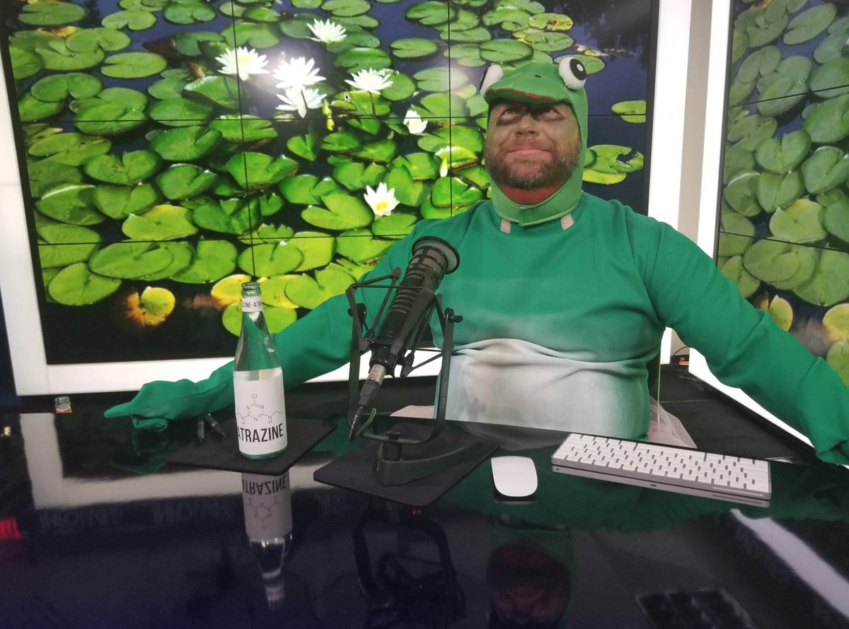 PROOF: GAY FROGS ARE REAL » ғᴏʟʟᴏᴡ: Alex Jones Network