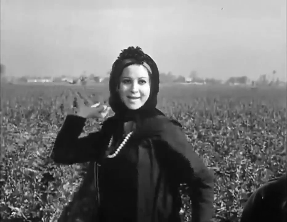 On this day, 61 years ago, Henry Barakat's "El haram" (1965) starring Faten Hamama was released in Egypt.