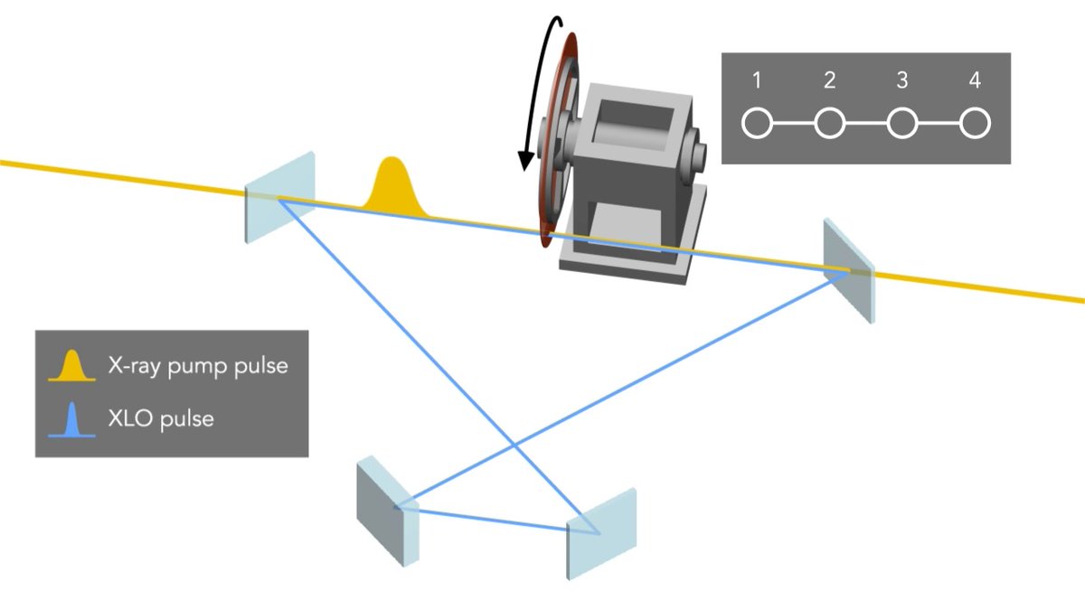 Perfectly coherent! SLAC researchers are developing an X-ray laser oscillator designed to emit perfectly coherent X-ray pulses - and it's almost ready! A prototype will be built and tested at SLAC’s LCLS and Japan's SACLA X-ray laser facilities: