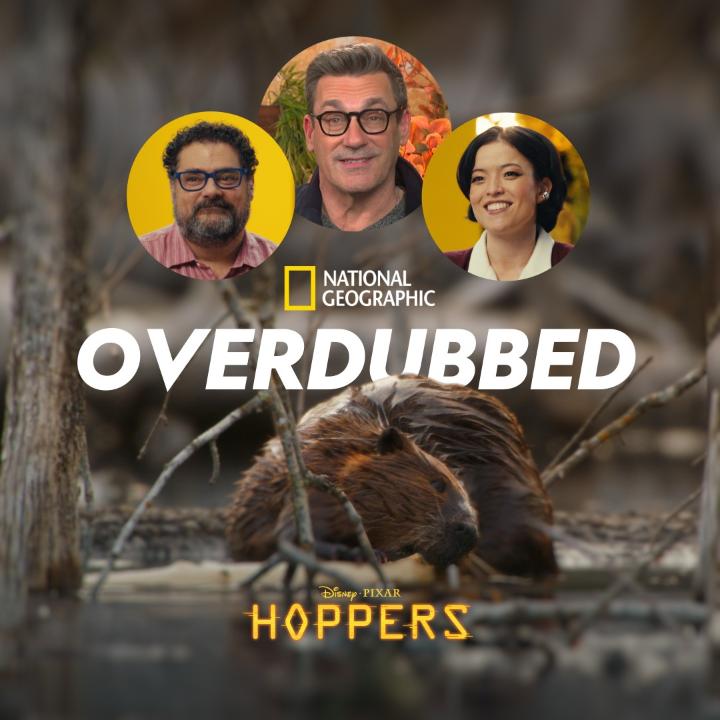 Piper Curda, Bobby Moynihan, and Jon Hamm tap into their wild sides for Nat Geo's Overdubbed 🗣️ Catch Disney and Pixar's new movie #Hoppers, in theaters this Friday 🍿 #AmericasNationalParks and #HostilePlanet are now streaming on DisneyPlus and Hulu.