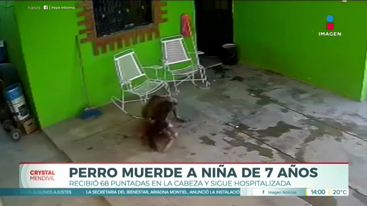 Perro ataca a una niña de 7 años en #Frontera, #Coahuila. Recibió 68 puntadas en la cabeza tras ser agredida. #NoticiasImagen #YoTeVeo #ImagenNoticias con Crystal Mendivil Imagen Crystal