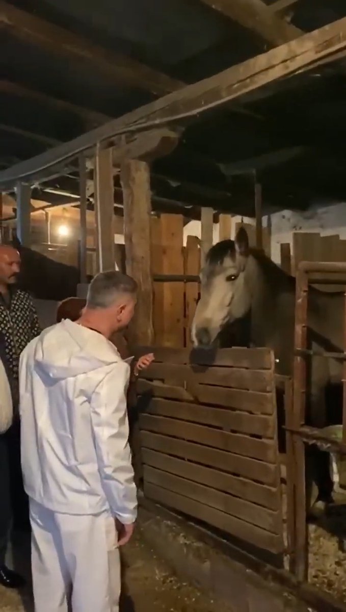 ARŞİV | Reis Sedat PEKER, at çiftliğinde Sezar’a sesleniyor: “Sezar birader, nasilsun? İyi misun?”