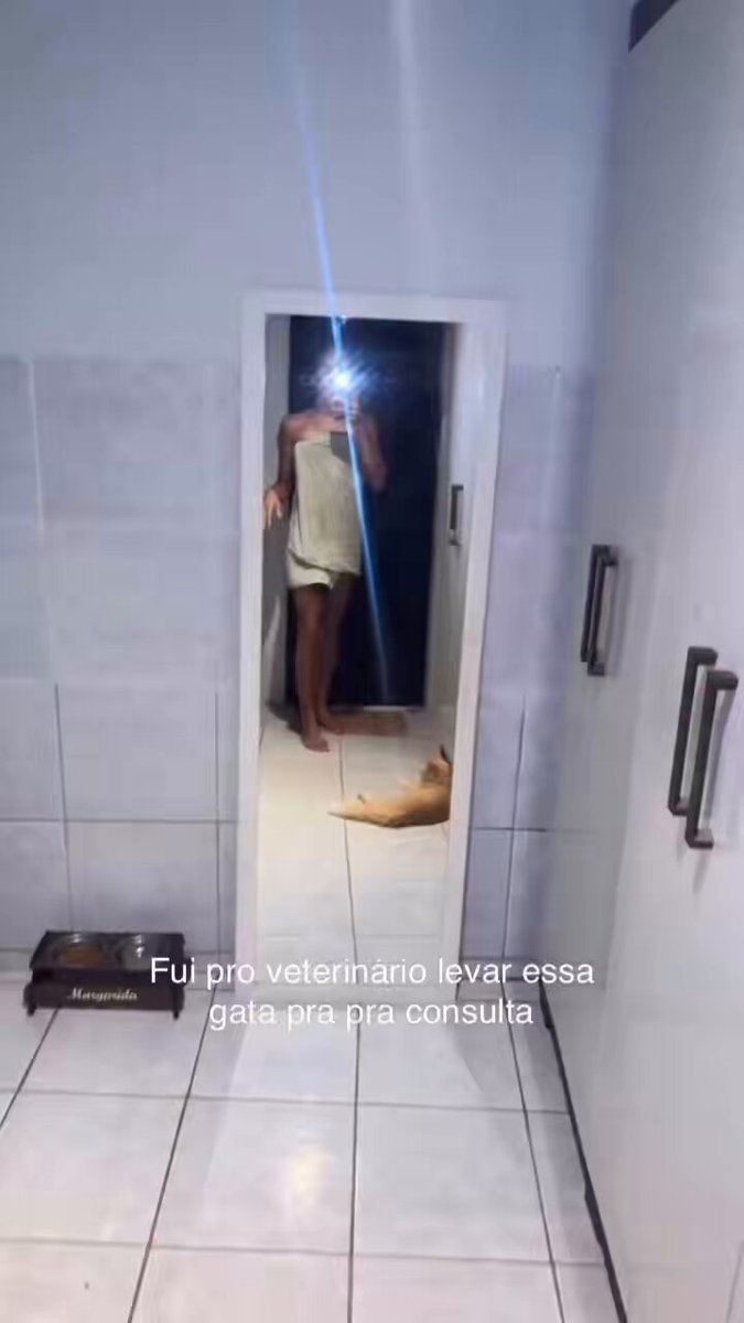 A gata assim: “isso que você tá fazendo já me estressou”