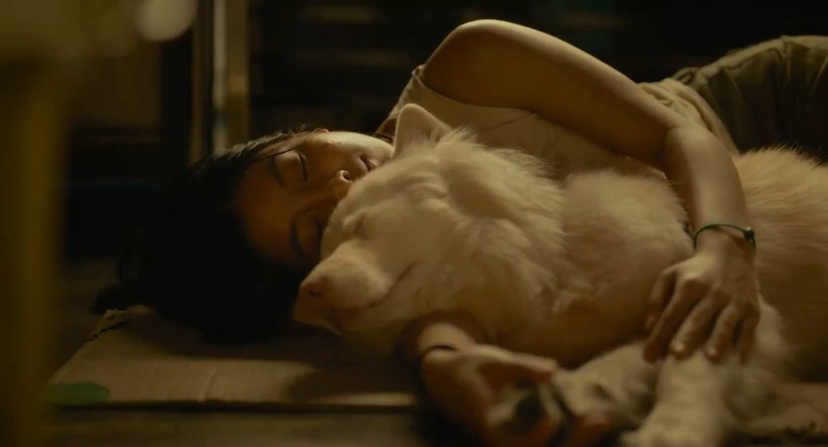 Buat yang lagi puasa dan gampang nangid sama film-film tentang anabul, hati-hati sebelum nonton trailer ini 🥲 GOHAN 🐶 Akan tayang di Indonesia! Siap menangid bersamaaaa?????
