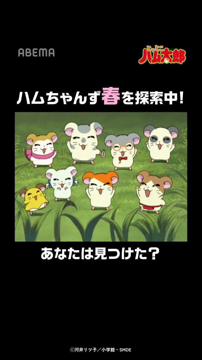 ハムちゃんずが春を探索中👀🌸 みんなは見つけた？ 「とっとこハム太郎」はアベマで配信中！ 視聴はこちら▶︎ さらに！ TVアニメ「とっとこハム太郎」25周年を記念して 劇場版全4作品、OVA4作品も無料配信中！ #とっとこハム太郎 「とっとこハム太郎」公式サイト運営