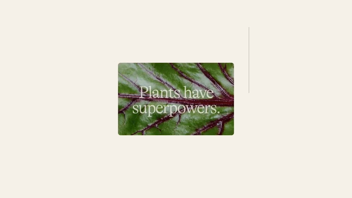 Welcome to Beyond The Plant Protein Company.​ A new chapter begins, rooted in the power of plants.​ Plants have superpowers. Our team is dedicated to unlocking and delivering them to you. ​ Join us. Go Beyond. Feed a better future. 🌿