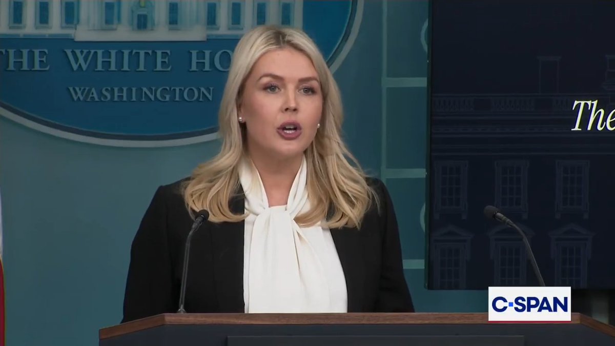 .Karoline Leavitt Karoline Leavitt: "Under the leadership of President Donald J. Trump the rogue Iranian terrorist regime is being absolutely crushed....When President Trump makes a threat...President Trump does not bluff."