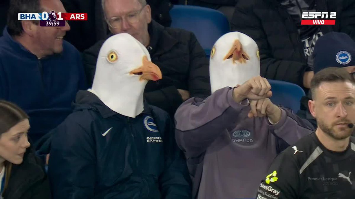 Está rara la tribuna del Brighton... 😅🪿