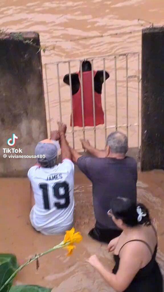 3 anjos arriscaram suas próprias vidas pra salvar um doguinho 🥺