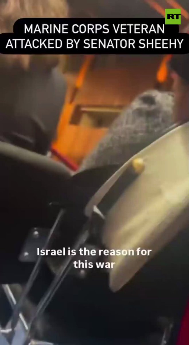 ‘ISRAEL IS THE REASON FOR THIS WAR’ — vet Brian McGinnis before being DRAGGED OUT BY POLICE AND A US SENATOR