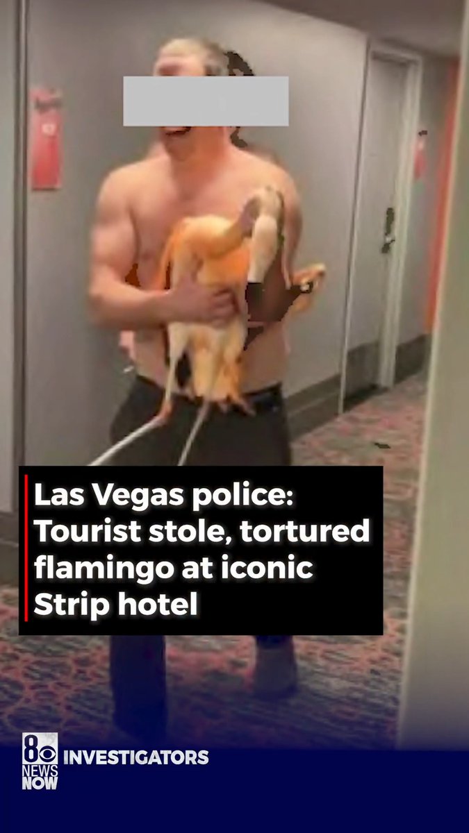 A Canadian tourist faces charges after Las Vegas police said he stole a flamingo from the Flamingo hotel and took the bird back to his room, "torturing" it.