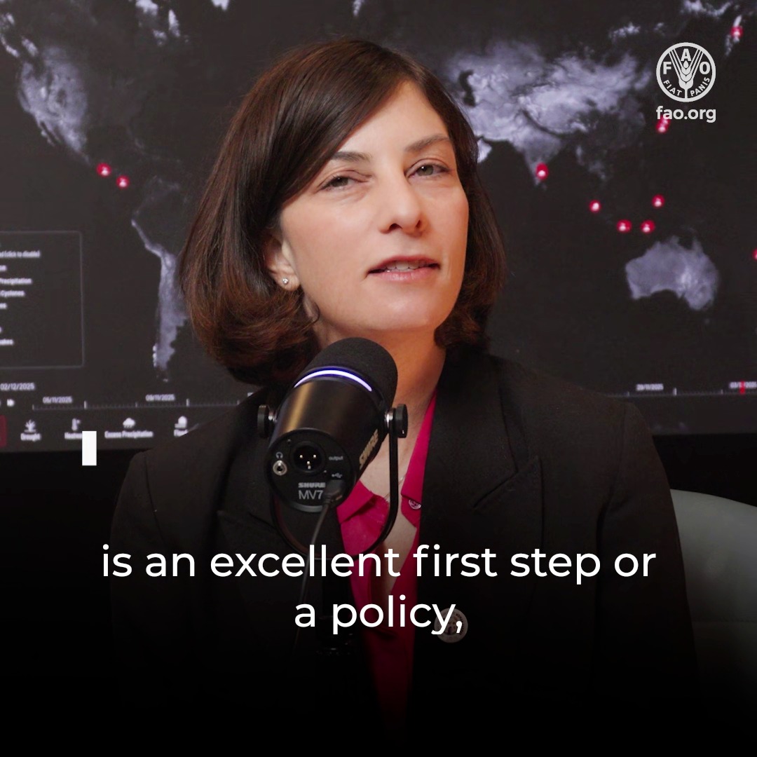 Changing a law to achieve #GenderEquality is a powerful first step. And change happens in the field — informing women of their rights and turning policy into access to land, resources &amp; opportunity. 🎙️ Food and Agriculture Organization’s Lauren Phillips explains: #IWD2026 #IYWF2026