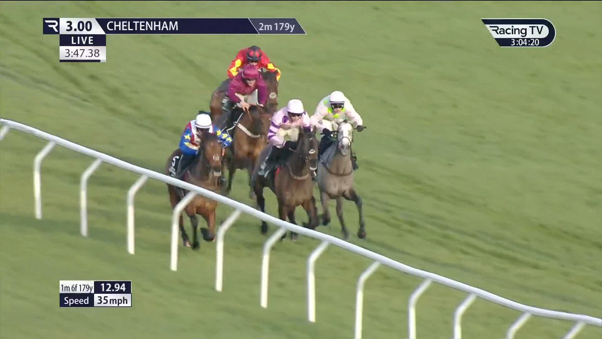 🚨 Exchange watch: LOSSIEMOUTH last matched at 4.4 for the Champion Hurdle. Mares Hurdle - last matched at 4.2 a short while ago. 👀 Is it happening?