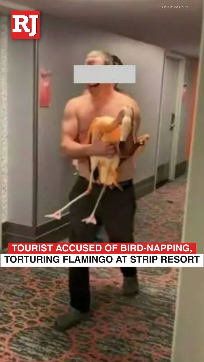 A Canadian man faces animal cruelty charges after police accused him of illegally entering the flamingo habitat at the Flamingo resort on the Las Vegas Strip early Tuesday morning, taking a bird back to his room and torturing it. STORY: