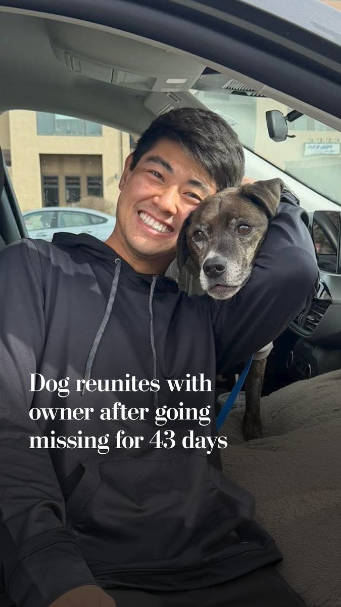 A 10-year-old dog named Rocky was rescued and reunited with his owner after surviving 43 days alone in Summit County, Colorado.