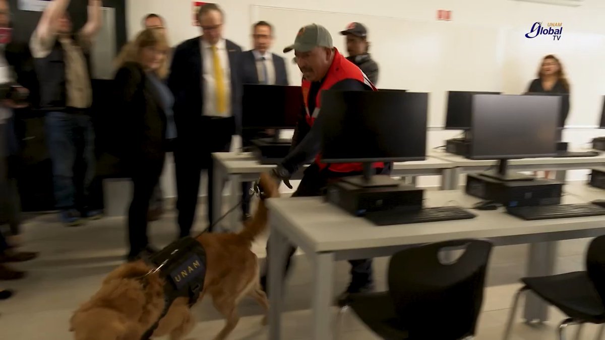 Dos perros se integraron a la Unidad Canina de Rescate y Detección de la UNAM. Con los binomios caninos la Universidad avanza en la seguridad de su comunidad >
