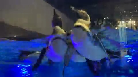 ぷかぷかだいふく＆あんこ🐧🐧 今週もお疲れ様でした😊