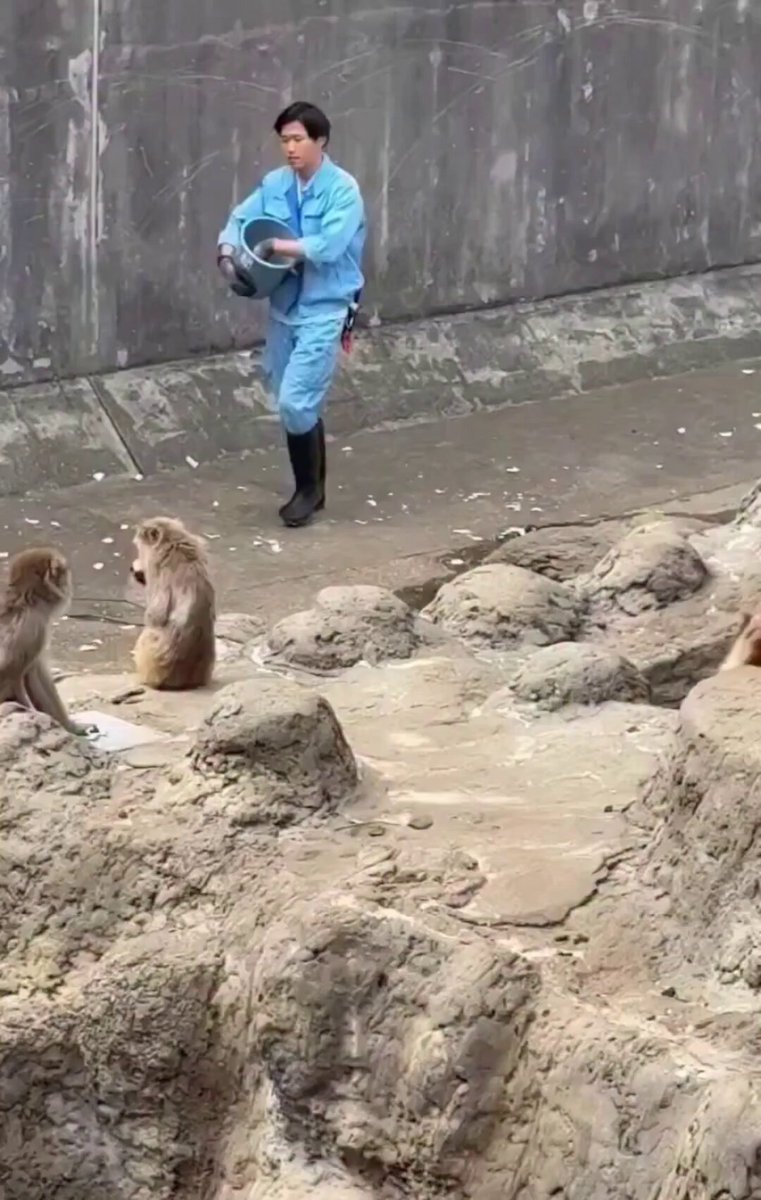 Caretaker heard little Punch being bullied, he quickly rescued him and took him inside along with his plushie..🐒🥺🙏❤️