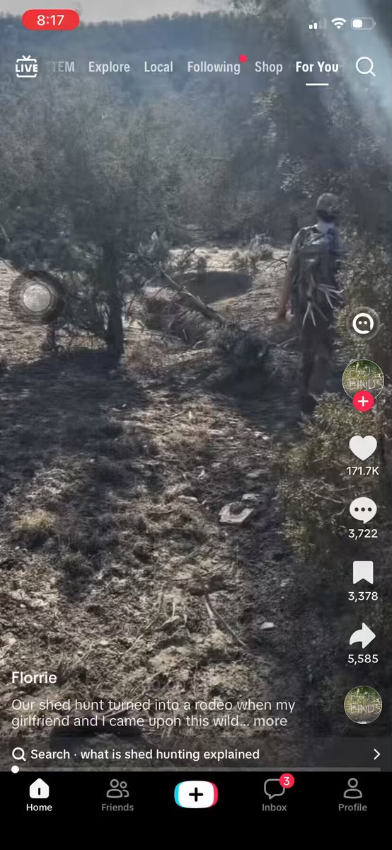 This couple was out shed hunting (searching for antlers) when they came across a horse stuck in a ravine. Watch as the guy works to free the horse. It finally gets free and trots off proudly. Thank God they found it before it was too late.