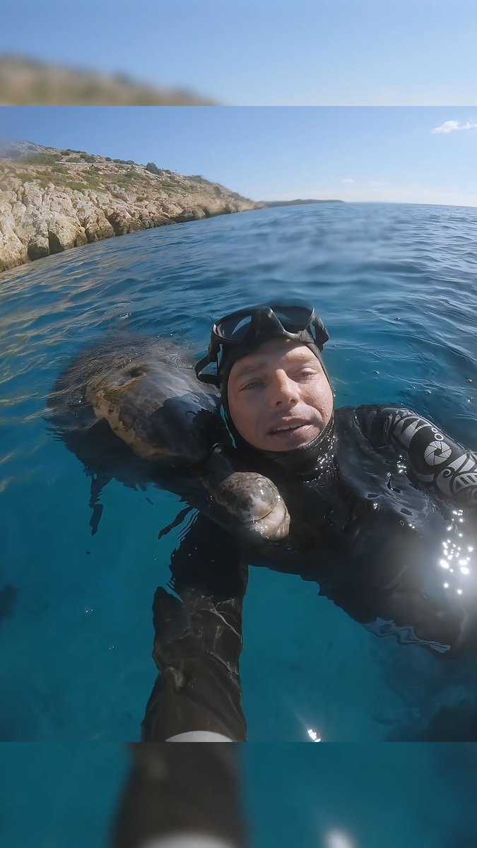 Johnnie Boe's dolphin friend is trained to pick up trash 🤯 🎥 Shot on #GoProHERO13 Black 👉 🏆 $500 GoPro Award #GoPro #WildlifeEncounter #Wildlife #Dolphin