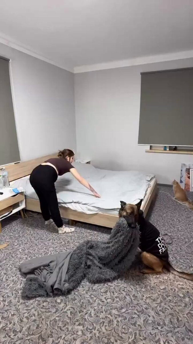 That dog has some personal beef with that hommie