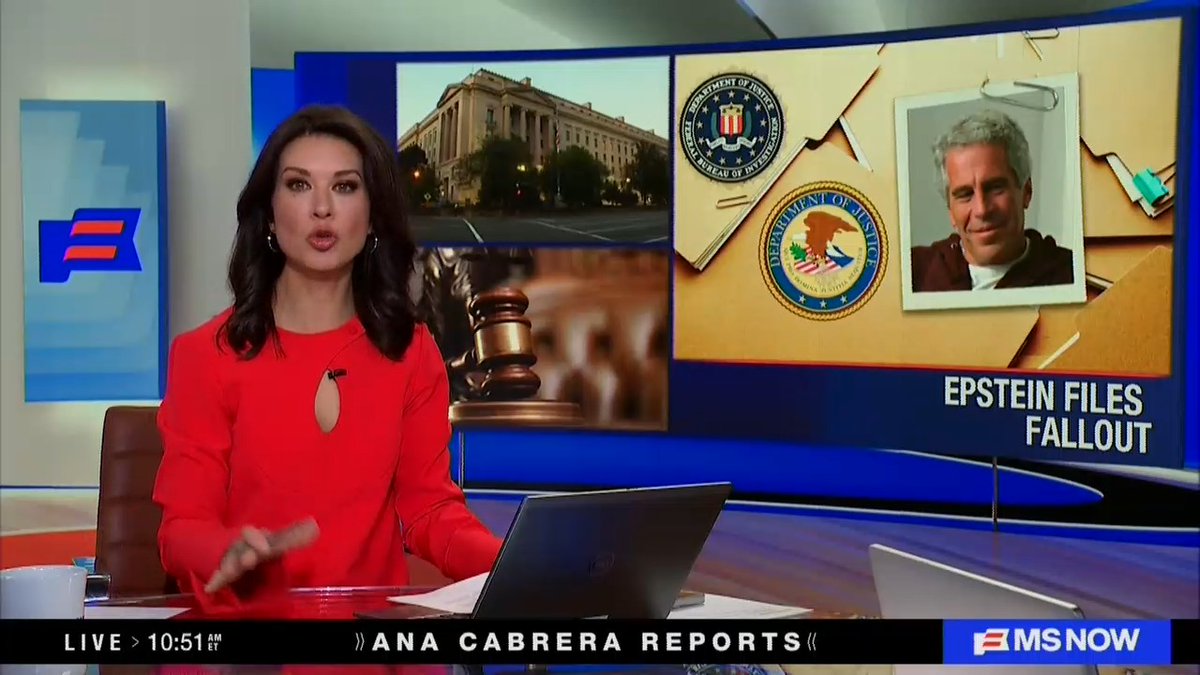 Host: The DOJ just dropped its latest round of Epstein files, and this time they include the FBI's notes on its interviews with a woman who accused Trump of sexual assault. The DOJ faced widespread backlash for withholding the documents, and accusations that it was trying to protect Trump.