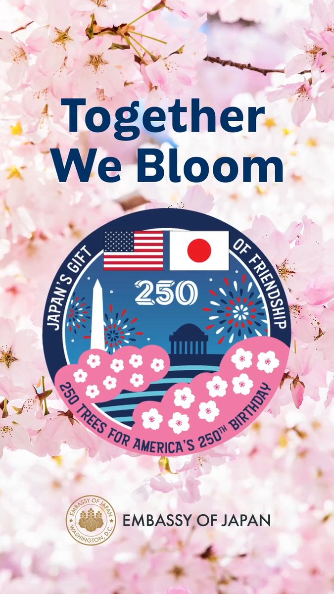 We’re so excited to celebrate America’s 250th birthday with Japan’s gift of 250 additional cherry trees! Keep an eye on our accounts as we celebrate both the 1912 gift and the 2026 gift of cherry blossoms throughout the festival season! Together we bloom!🌸