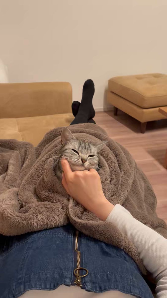 主のことをマッサージ付きベッドだと思ってる猫